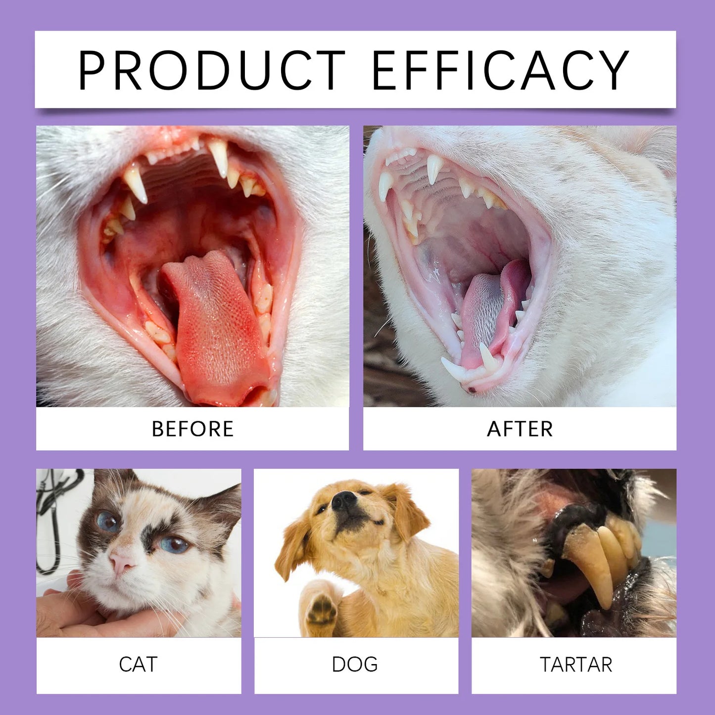 Pet Oral Cleaning Spray 50ml