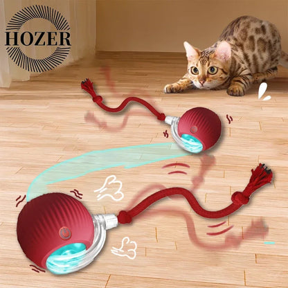 2Pcs Cat Interactive Ball