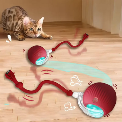 Intelligent interactive cat & dog ball long-lasting