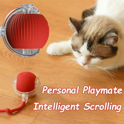 Intelligent interactive cat & dog ball long-lasting