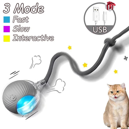 2Pcs Cat Interactive Ball