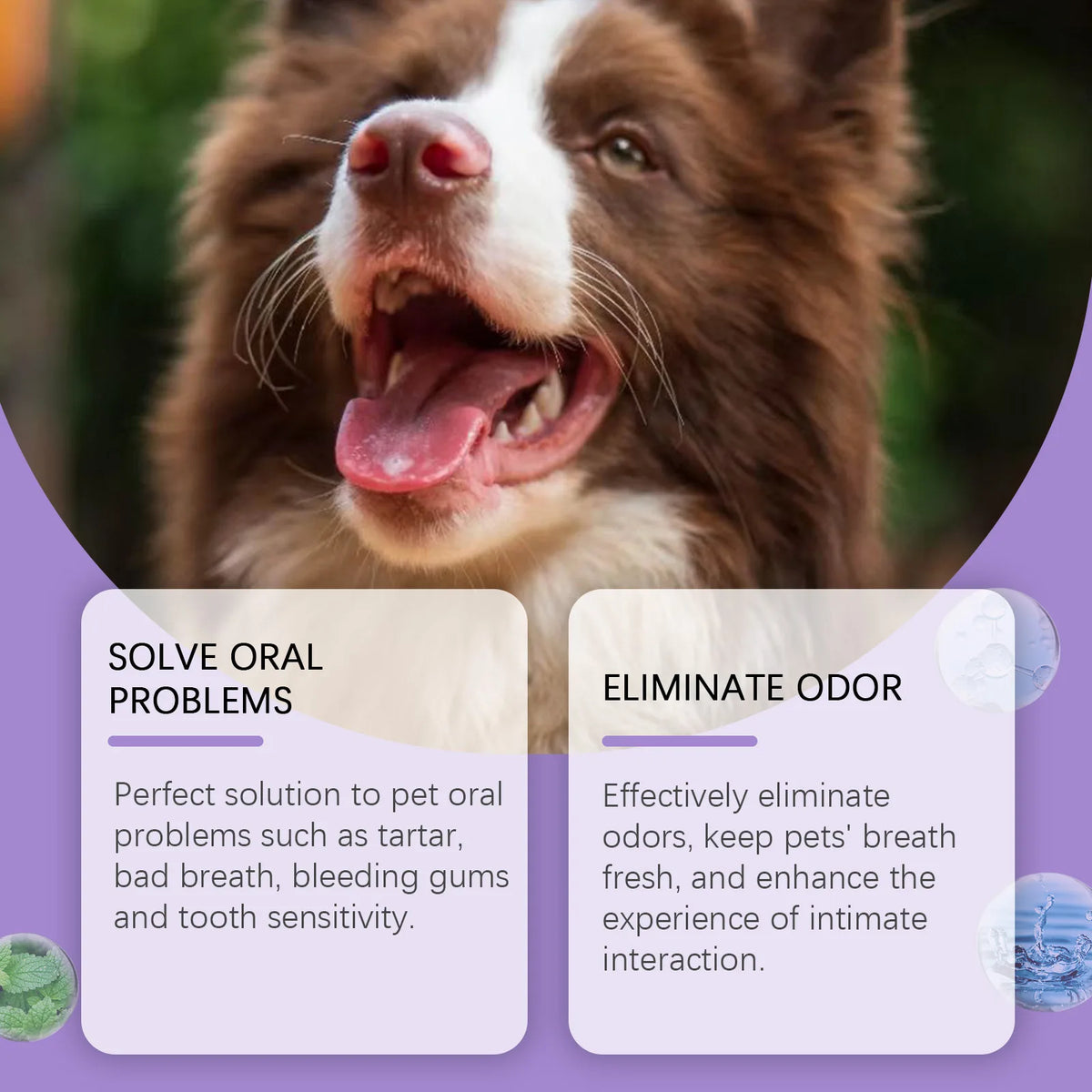 Pet Oral Cleaning Spray 50ml